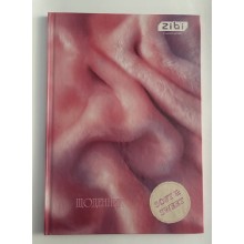 Щоденник шкільний тв.обкл. мат.лам.ТЕКСТУРА В5 40арк,+виб.УФ-лак ZB.13765-43 Zibi