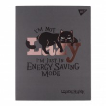 Щоденник шкільний інтегральний Lazy cat 911564 YES