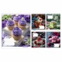 Зошит 48арк.клітинка 'Bright Food' 768134 1Вересня 1В