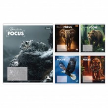 Зошит 96арк.клітинка 'Beasts in Focus' 768064 1В