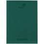 Щоденник шкільний тверда обкладинка зелений K26-262-13 KITE Щоденник шкільний тверда обкладинка зелений K26-262-13 KITE