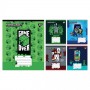 Зошит 24арк.клітинка 'Minecraft Walls' 767568 YES