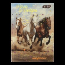 Щоденник шкільний тв.обкл. мат.ламінація NIGHT HORSE В5 40арк,+виб.УФ-лак+фольга ZB.13765-01 Zibi