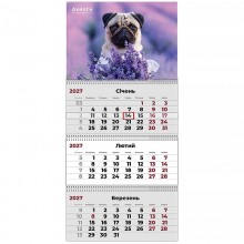 Календар настінний квартальний 2027р.3 пружини Dogs 3 18803-27-12  Axent